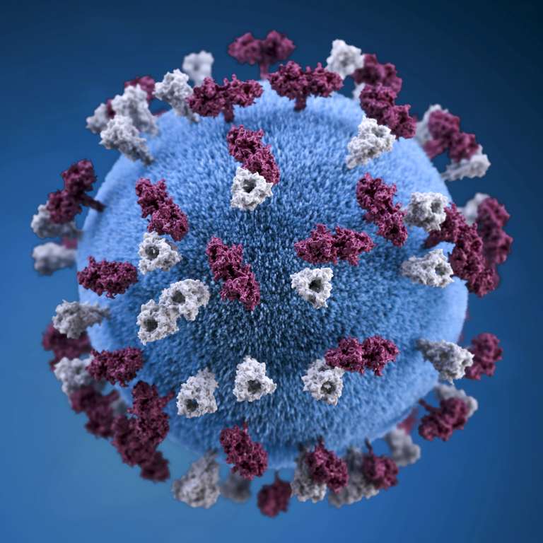 Covid 19 Coronavirus Covid Cell Pandemic Corona Virus 1608799 Pxhere.com 